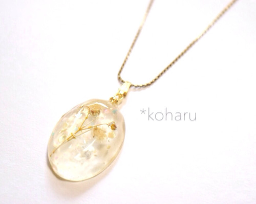 1_c0b1e06db9a0920cffaf91900f51