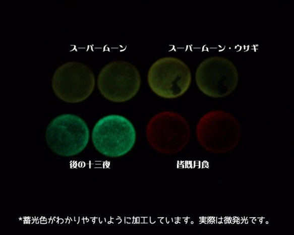 後の十三夜（ミラクルムーン）の蓄光イヤリング/p444 4枚目の画像