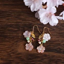 【さくら、咲く】 ピンクシェルの桜2輪のピアス/p421 1枚目の画像