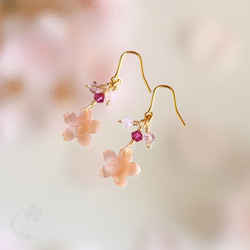 【さくら、咲く】 ピンクシェルの桜とスワロピアス/p397 1枚目の画像