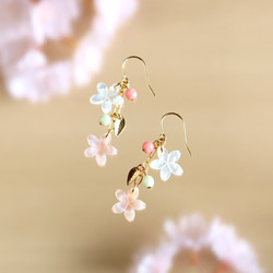 【さくら、咲く】 ピンクとホワイトのシェル・桜2輪とリーフのピアス/p399 4枚目の画像