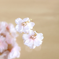 【さくら、咲く】 桜満開のピアス/p396 8枚目の画像