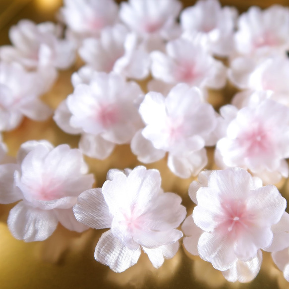 【さくら、咲く】 桜満開のピアス/p396 10枚目の画像