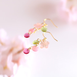 【さくら、咲く】 ピンクシェルの桜と春色ガラスのピアス/p697 6枚目の画像