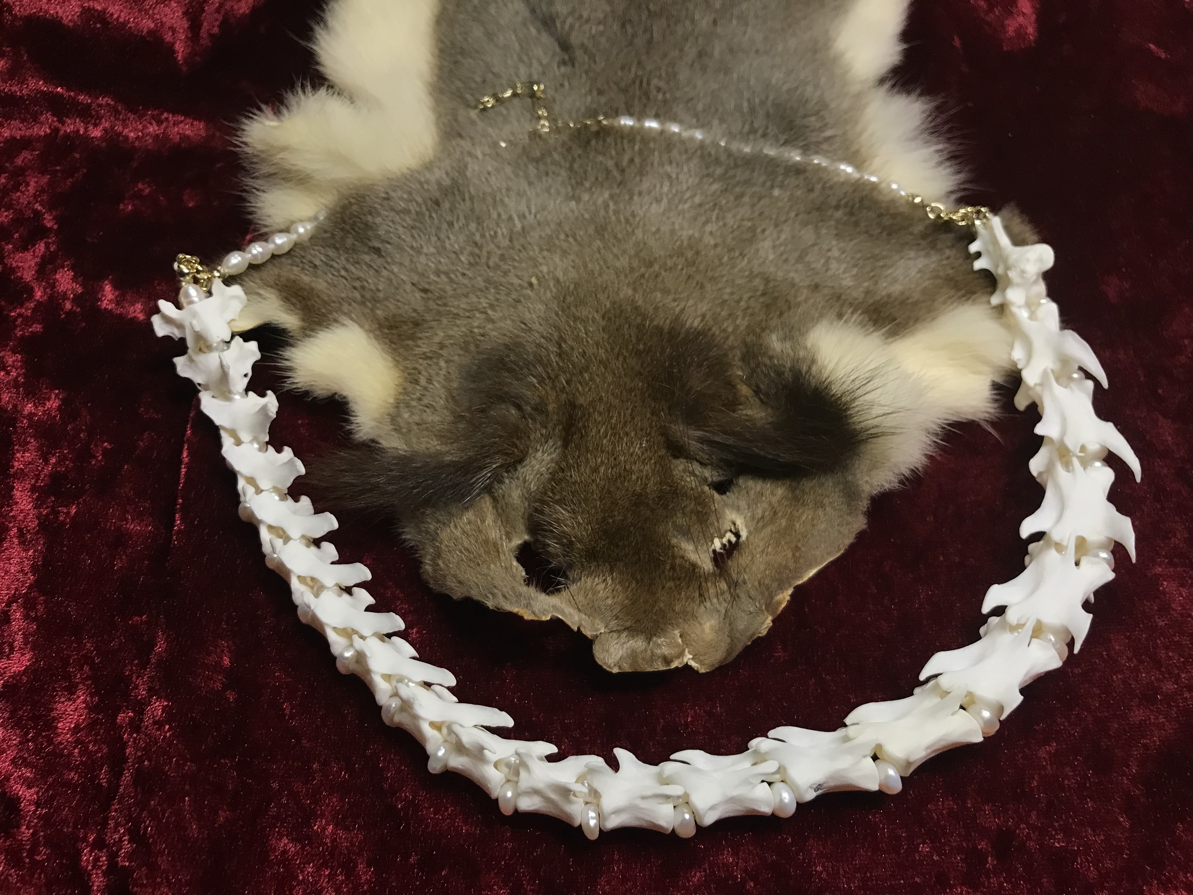 テン:頸椎ネックレス