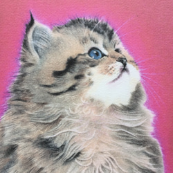 [紅] パステル画のイラスト ふんわり癒しの猫 1枚目の画像
