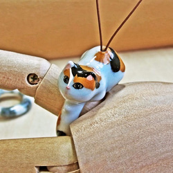 智能手機的貓環型帶“芽陷阱”定制Sabashiro貓 第4張的照片