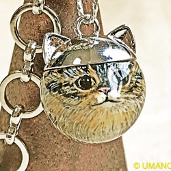 Nyanko袋魅力“貓王子”銀Kijitora貓 第1張的照片