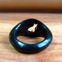 夫人顏色的貓黑環，訂單生產 第2張的照片