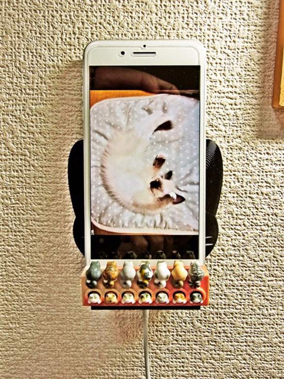 秘密結社ニョッカー首領室　壁掛け猫スマホスタンド＆無電源スピーカー 4枚目の画像
