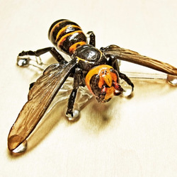 蜜蜂胸針“≒標本模型”大黃蜂色 第2張的照片