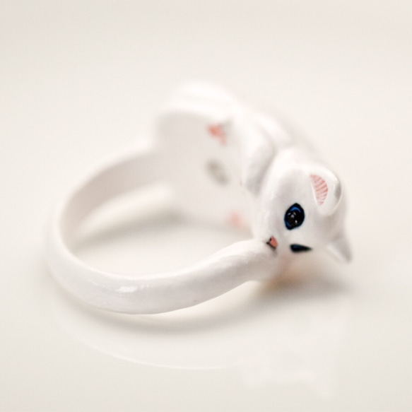 貓環側酒喵喵白色的貓 第2張的照片