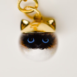 定制 Nyanko 包飾“貓王子”金色布娃娃 第1張的照片