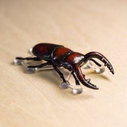 雄鹿甲蟲胸針“Oujiragi” 第1張的照片