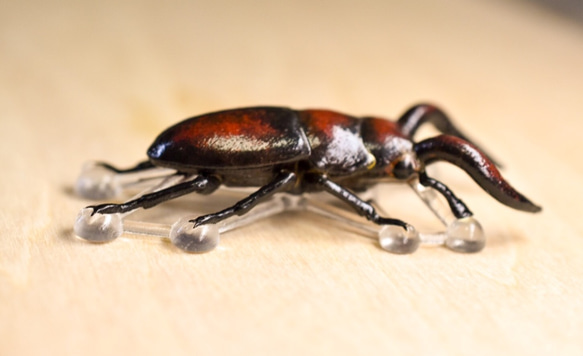 雄鹿甲蟲胸針“Oujiragi” 第2張的照片