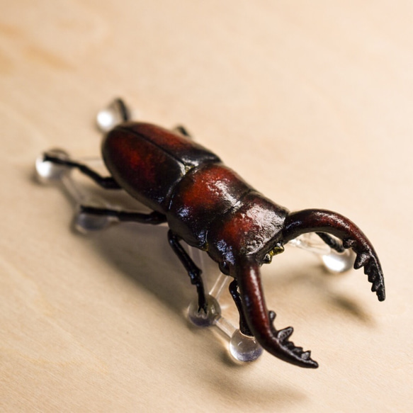 雄鹿甲蟲胸針“Oujiragi” 第3張的照片