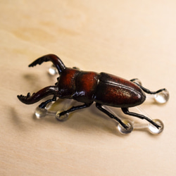 雄鹿甲蟲胸針“Oujiragi” 第4張的照片