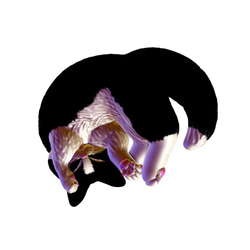 受注製作 猫ネックレスヘッド ムギモフ　白黒猫ハチワレカラー 5枚目の画像