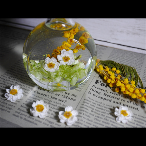 ミモザと花かんざしのハーバリウム ハーバリウム・植物標本 花