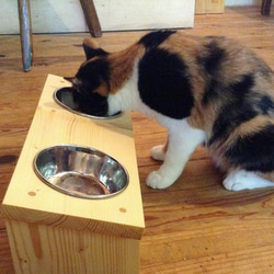 犬猫用食器台（傾斜あり・ステンレスボウル2個付） 9枚目の画像