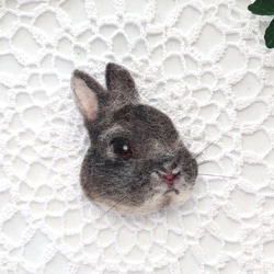 Pocket animal バッチ うさぎ ネザーランドドワーフさん 羊毛