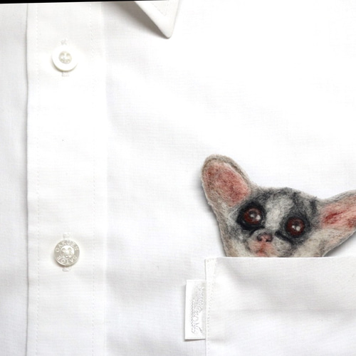 Pocket animal バッチ ショウガラゴさん 羊毛フェルト ゆらの店 通販