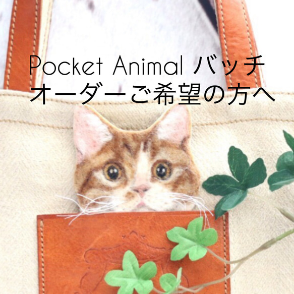 Pocket Animal バッチオーダーメイドについて 1枚目の画像
