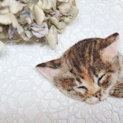 Pocket animal バッチ　キジトラ居眠り子猫ちゃん 1枚目の画像
