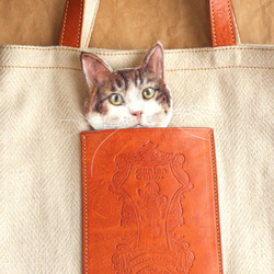 Pocket Animal バッチ　ギジシロ猫さん 4枚目の画像