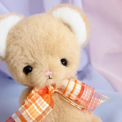 あかちゃんぬいぐるみ・茶クマちゃん 1枚目の画像