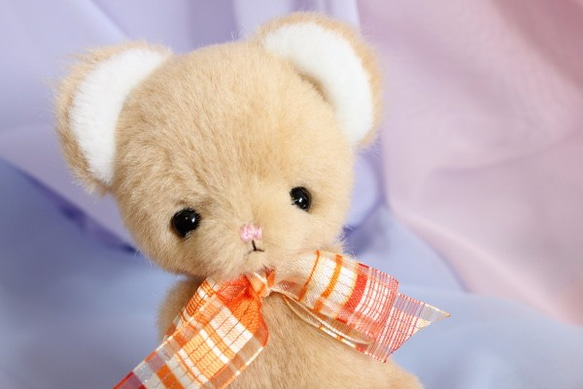 あかちゃんぬいぐるみ・茶クマちゃん 1枚目の画像