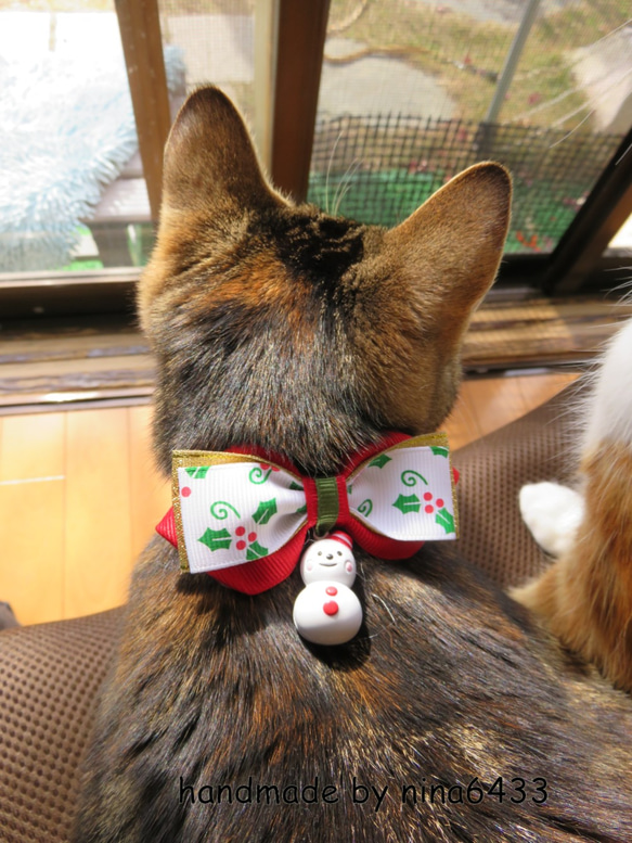 猫のリボン首輪 ～クリスマスF 4枚目の画像