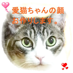 羊毛フェルト/愛猫ちゃんお作りします/オメメの色と金具選べます。 1枚目の画像