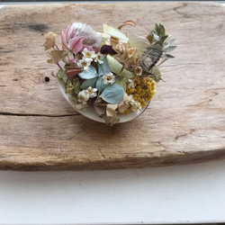 貝殻の森 小さなブーケ インテリア&ディスプレイ 5枚目の画像