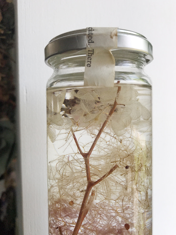 植物標本 L 地層の森 紫陽花とスモークツリー 切手 インテリア&ディスプレイ 5枚目の画像