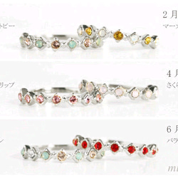 【Web限定・再販15８＊ピンキー対応◎】誕生花リング*シルバー 3枚目の画像