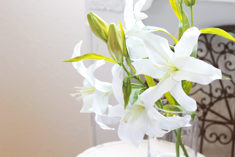 贈り物に!!　存在感たっぷりエレガントなカサブランカ 　2本　「Creema限定」