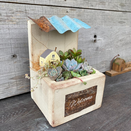 ☆多肉植物寄せ植え〜木製HOUSE 大多肉動物園〜☆