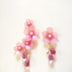 桜のイヤーカフ(セット)3　 3枚目の画像