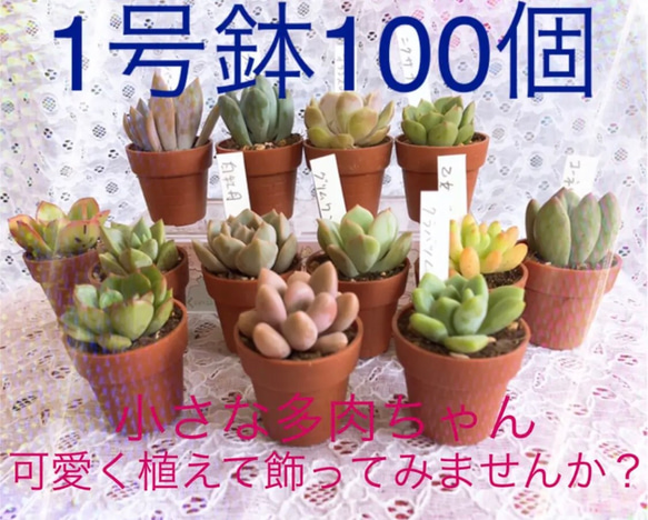 ミニプラ植木鉢 1寸  1号100個ハンドメイド材料にも 1枚目の画像