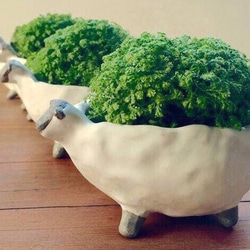 森一郎（母親白）定制 第1張的照片