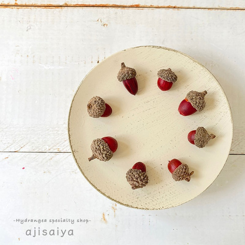 帽子をかぶった あかいどんぐり 【木の実】 その他素材 ちいさな