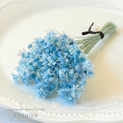 セボンスター　フラワー　青 セボンスター フラワー 青 セボンスター | カバヤ食品株式会社