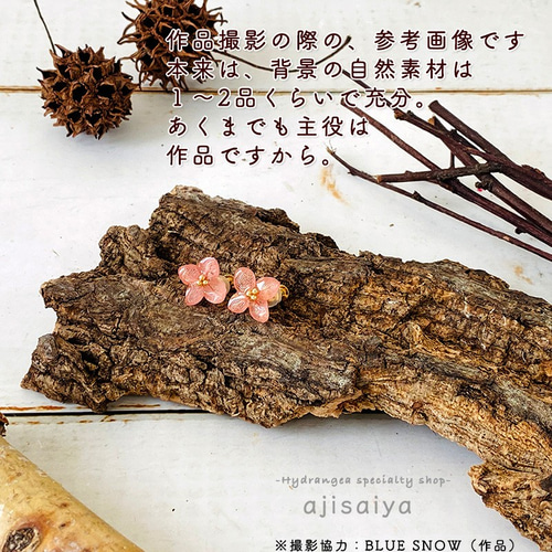 モミジバフウの実(アンバーバーム) | 花笑みStyle