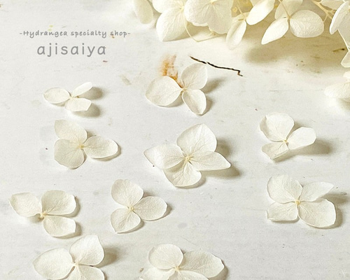 0_838fb78297ad9d9467a7d8be0db7