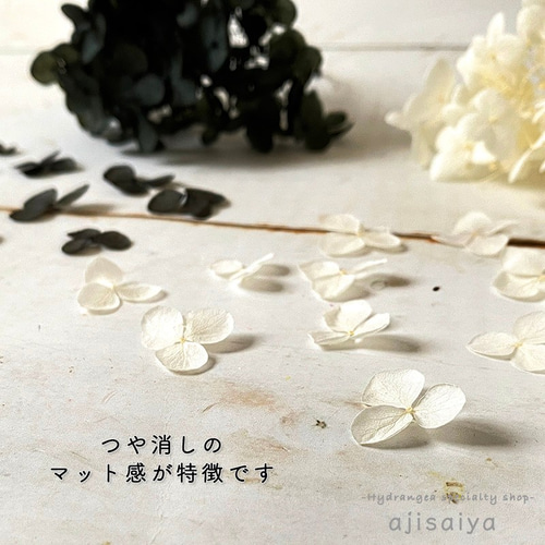 アナベル　あじさい花びら あじさい 花びら【国産 アナベル・パープル 30枚】あじさいの