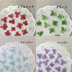 希少な「アナベル 小さな花びら」新春セールです　1/29まで　20枚入アナベル全17色から 選べる3点１０００円 3枚目の画像
