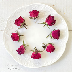 希少・数量限定】 黒ほおずき 【 ロスフラワー 】 ＜ 六合（くに