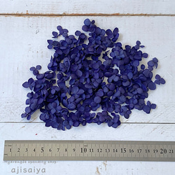 各種造型！合理的產品 [Annabelle/Petal: Navy Blue] &lt;Hydrangea Hydrangea 第2張的照片