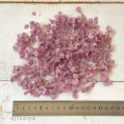 各種造型！合理的產品[Anabel / Petal：Purple] &lt;Hydrangea Hydrangea Hydran 第2張的照片